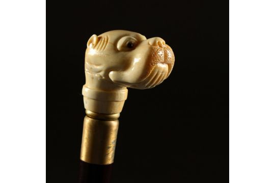 A Bone Handle Walking Stick, carved in the style of a Dogs Head