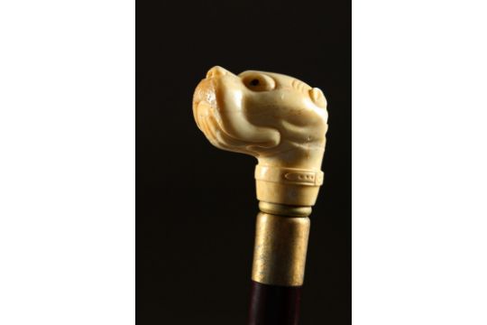 A Bone Handle Walking Stick, carved in the style of a Dogs Head - Image 2