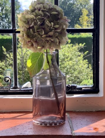 Apothecary Style Bottle Vase
