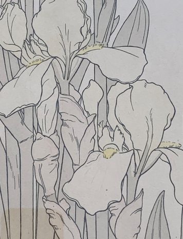 A Pair of Botanical Pochoir Prints J. Foord, c.1904, Art Nouveau period