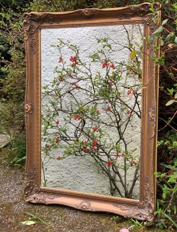 Gilt Decorative Framed Mirror