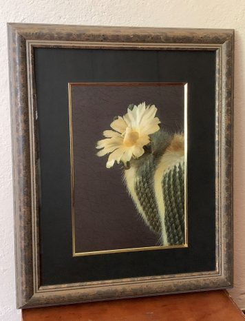 A Handmade Suzhou Embroidery of a Yellow Flowering Cactus